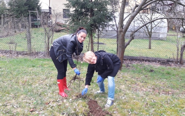Zdjęcie do Akcja &bdquo;Sadzenia drzewek&rdquo;